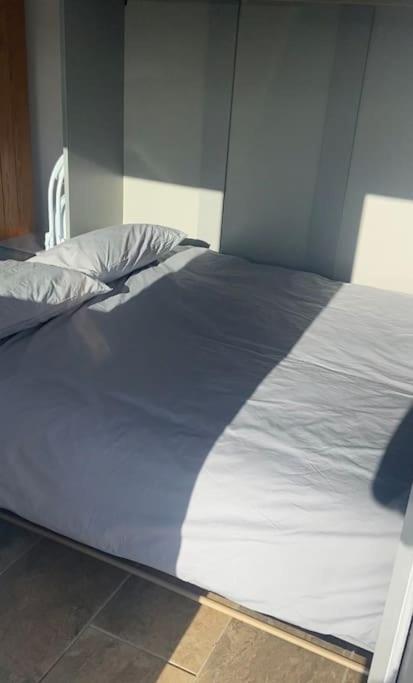 Adorable Bedsit For You, Partner And Your Pet! Stepaside  Exterior photo